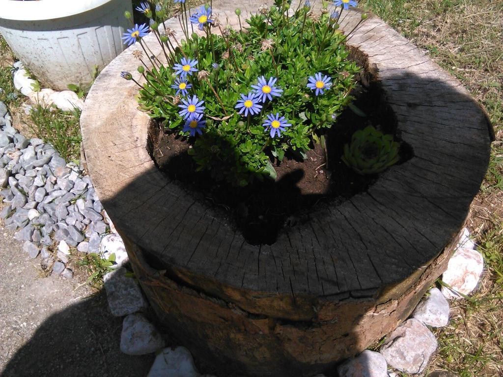 Apartman Duba Senj  Bagian luar foto